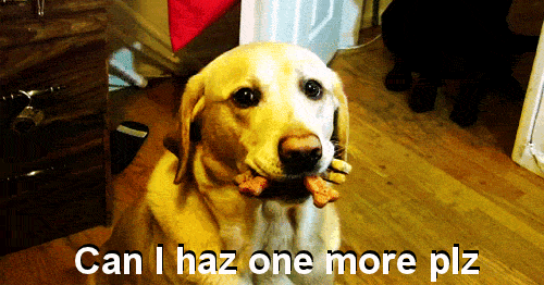 can-i-haz-one-mor-plz_o_149878.gif