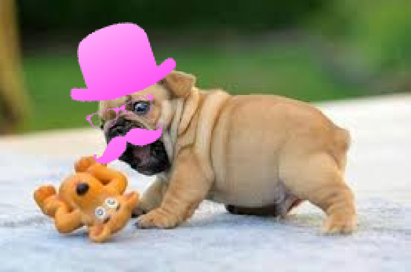 download.jpg