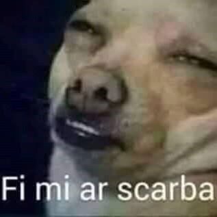 image.jpeg