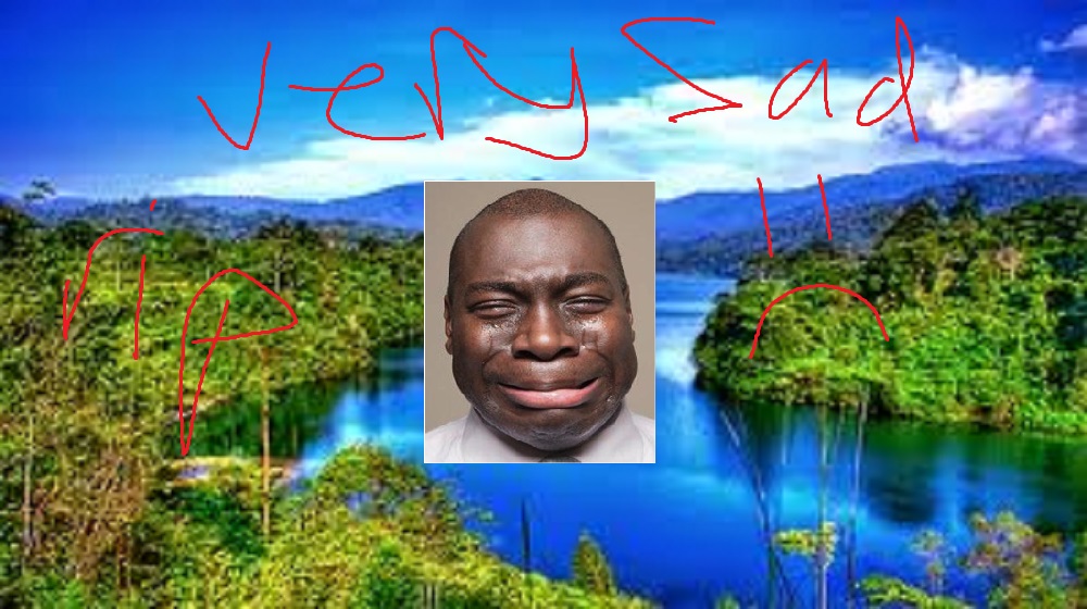 memev1.jpg