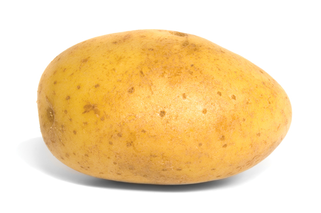 potato.jpg