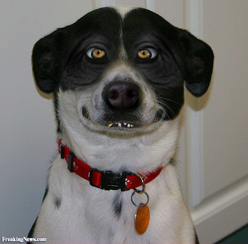 Ugly-Dog--26972.jpg