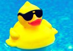RUBBER DUCKY.jpg