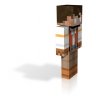 Carloz360