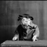 GrammarDog