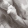 xxgingeyxx