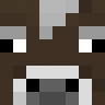 ScarkiiPlaysMC