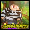 AgusGamer2001YT