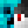 PlatinumSkillz