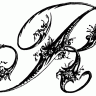 RectifyV2