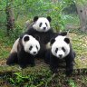PandarosEU