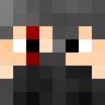 hidingninja