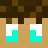 Hedgehog4799