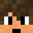 FAUS