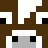Idicam
