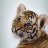 Tigers