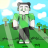 Lining